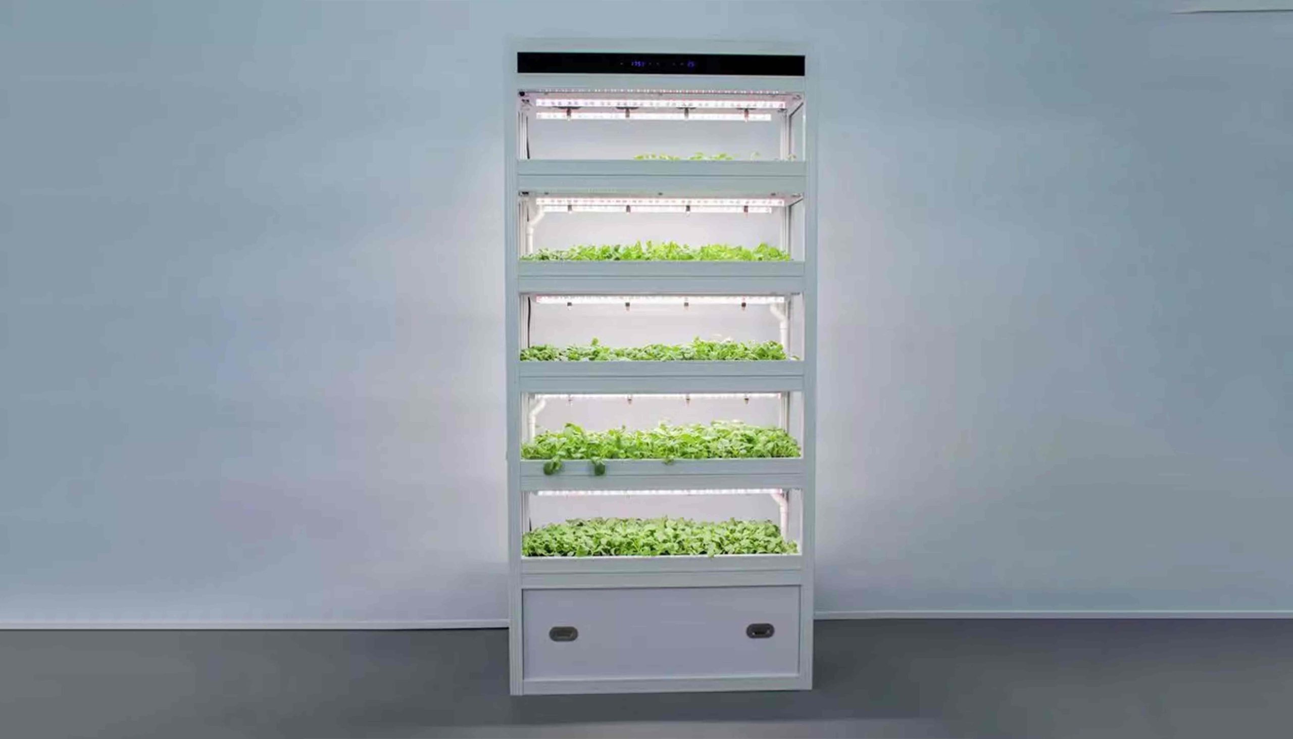 Standard-Hydroponic-Plant-Growing-Cabinet-2