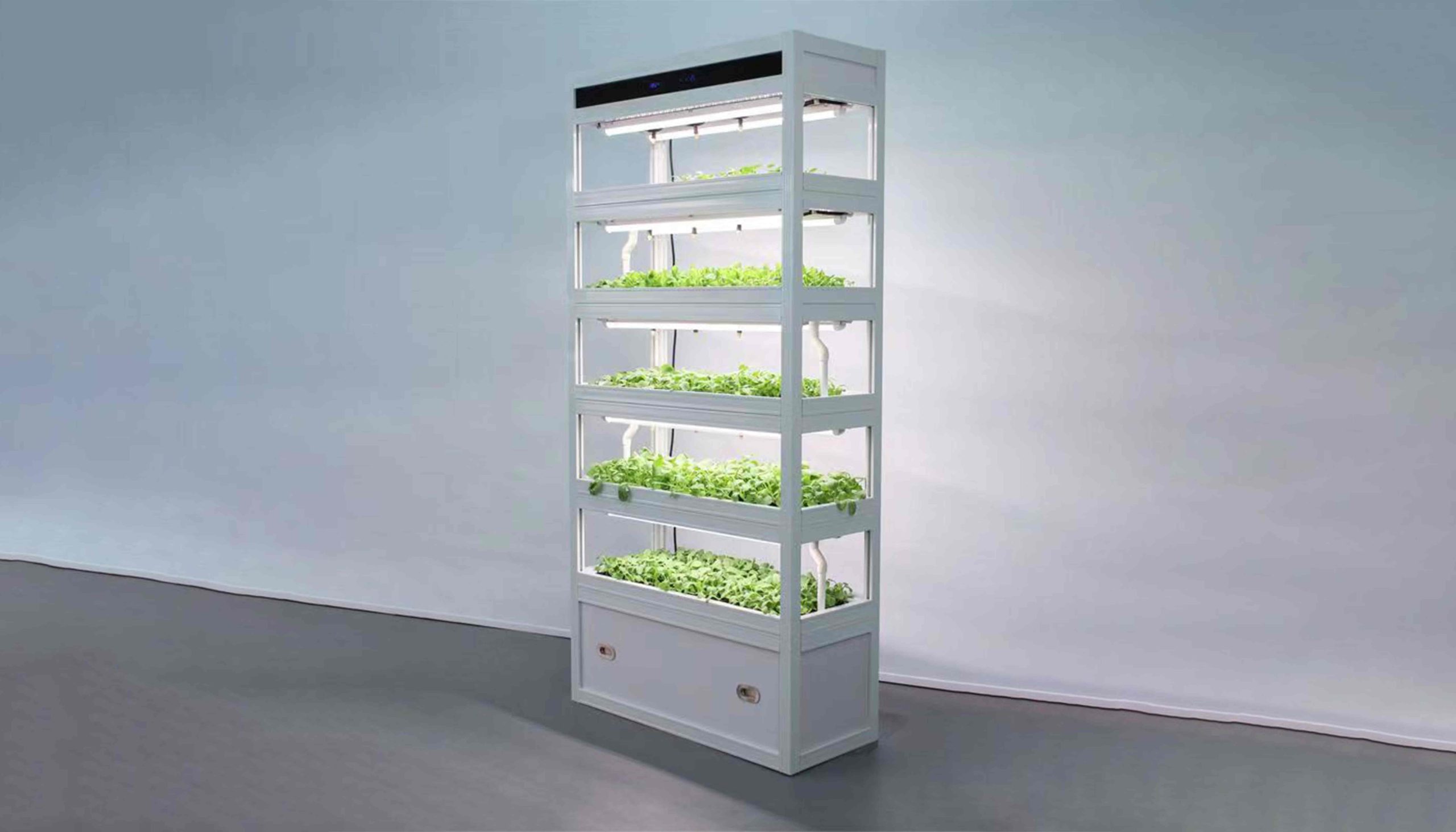 Standard-Hydroponic-Plant-Growing-Cabinet-4